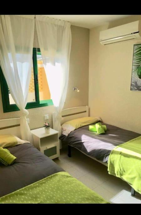 Olas Apartment